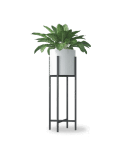 shop-lifestyle-bg-15