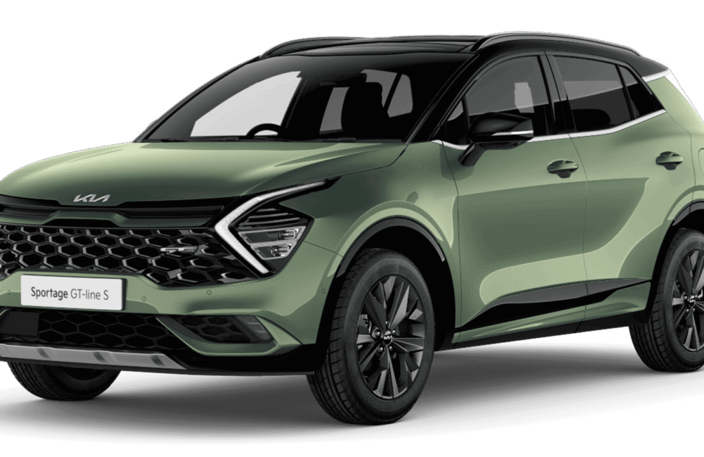 Daily Car Lift Service